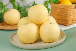 包含重磅：C罗谁能执教11冠王的词条